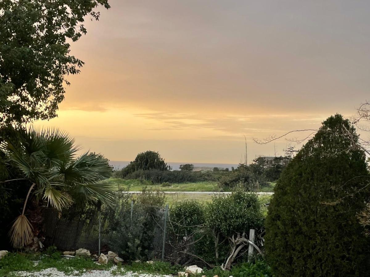Villa Ambios Pegeia Exteriér fotografie